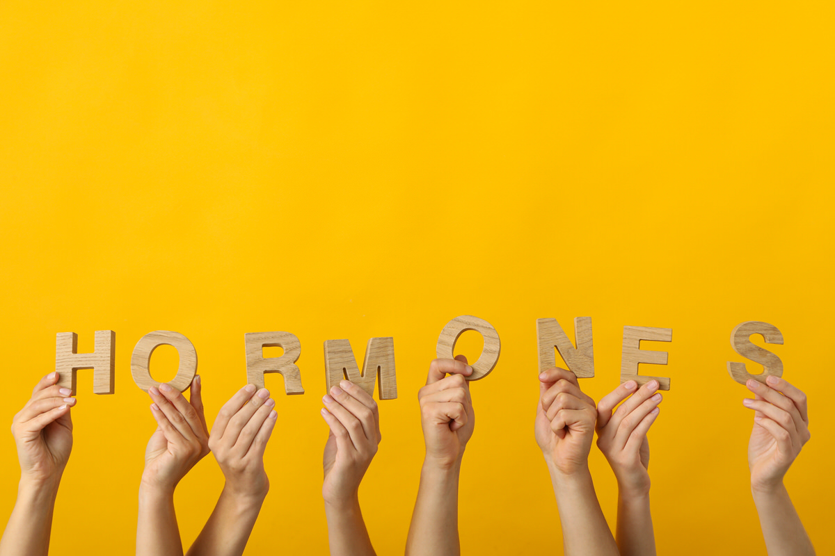Hands holding wooden letters spelling hormones